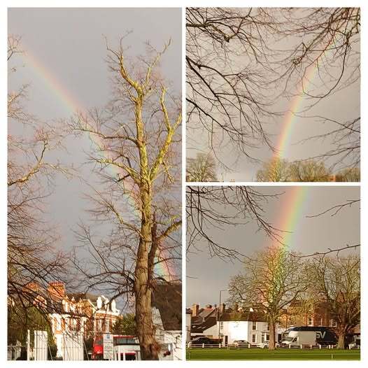 2025Rainbow