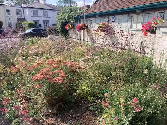 202607pollinator