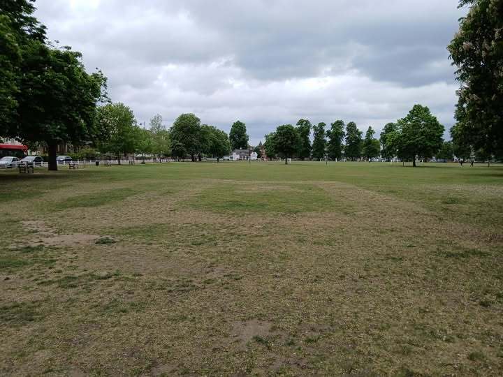 Drytgreen2025