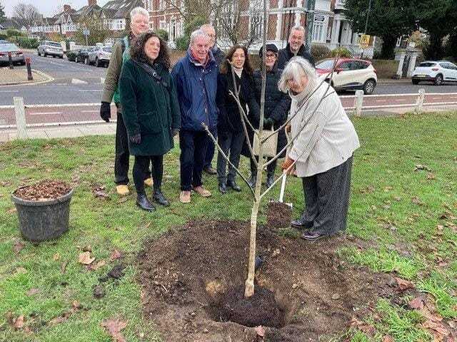 Tree planting